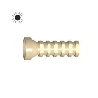 Cilindro Provisional de Implante Hexagonal Externo (Tipo Branemark® ø3.5)- Peek Img: 202009121