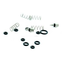 Kit Completo de Reparación para Jeringa Minilight Img: 202302111