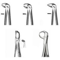 FORCEPS KDM 33A maxilar inf raices Img: 202008291