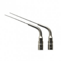 IRRI K 21mm Nº15 Img: 202204161