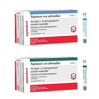 SEPTANEST 40mg./ml.+10microg/ml 1:100.000 CAJA 50u Img: 202512131