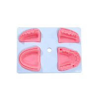 Modelo de Silicona para Suturas Oral Img: 202504121