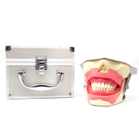 Simulador de Anestesia Dental Img: 202605091
