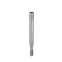 Tornillo Poste E000380