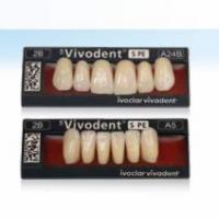 Dientes SR Vivodent S PE anteriores superiores A12