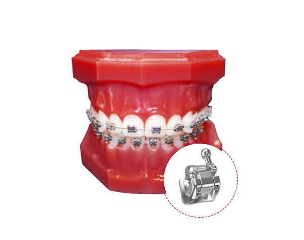 Tipodonto con Brackets Autoligados Metálicos Min Img: 202008011