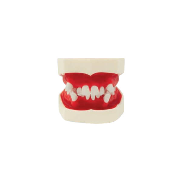 tipodonto ortodoncia