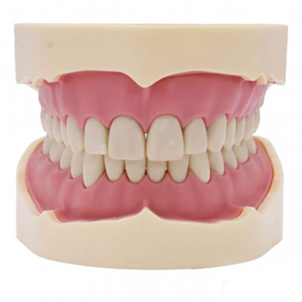 tipodonto-tipo-frasaco-ana4-3