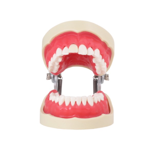 Tipodonto Endo Img: 202207091