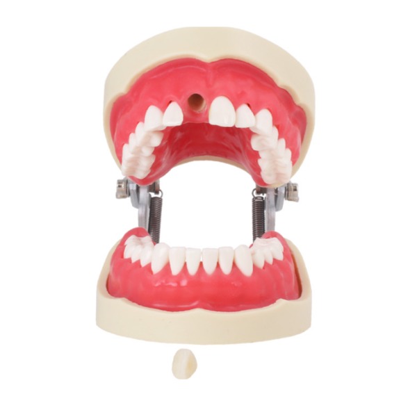 Tipodonto Endo Img: 202207091