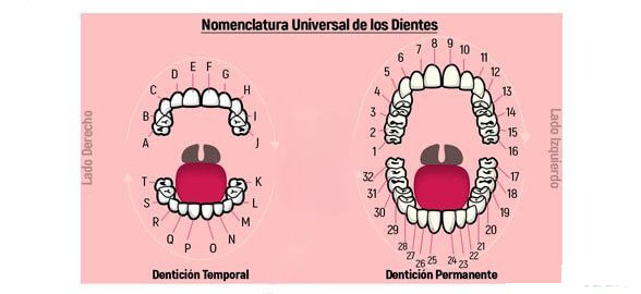 Numeración universal