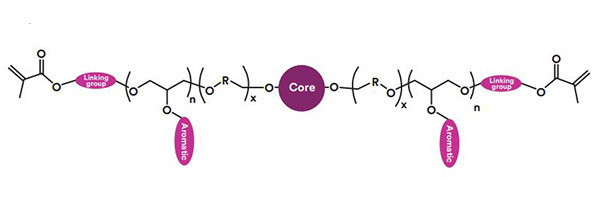 Monomères de méthacrylate innovants