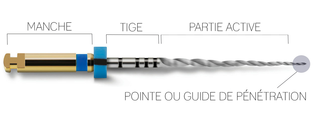 Parties lime endodontie
