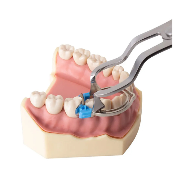 Bandes Matricielles Dentaires Universelles - Anneau, Pince, Ressort - Compatible Système V3 - Neuves