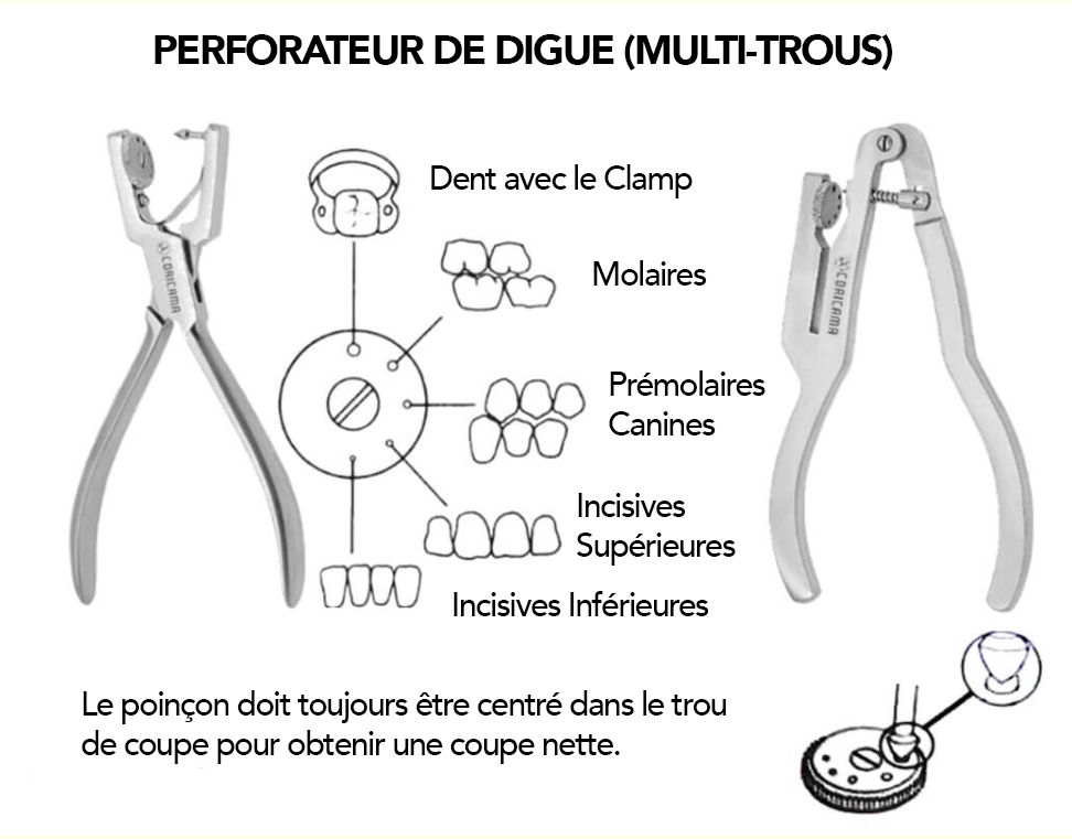 Hygenic gabarit de digue dentaire 6