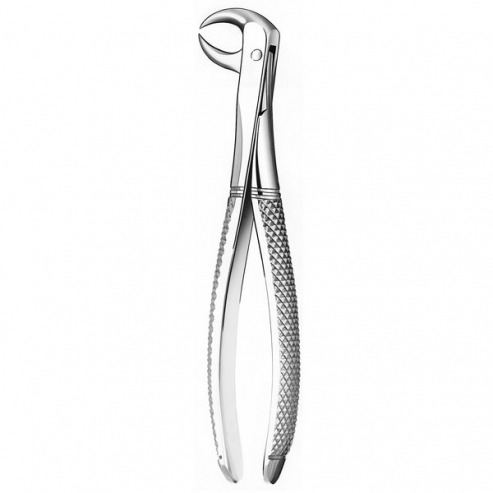 M86B FORCEPS MOLAIRES INFÉRIEURES Img: 201807031