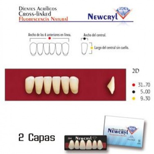 Dents NEWCRYL-VITA A4 2N  Img: 201807031