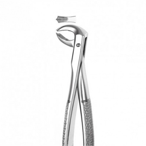 FORCEPS LOW MOLARES M2073  Img: 202112041