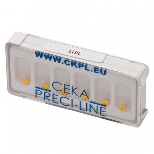 Preci-Sagix : Mini matrices de rétention normale (6 pièces) Img: 202401061 Preci-Sagix : Mini matrices de rétention normale (6 pièces) Img: 202401061