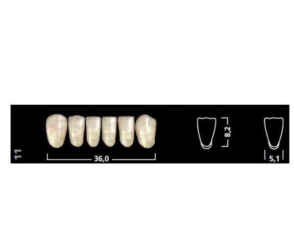 ant AD IVOSTAR sup 45 A3 Img: 201807031