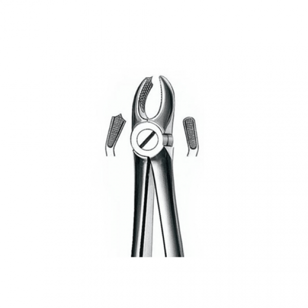 RAICES 318 M/ANAT FORCEPS . ***** Img: 202204301