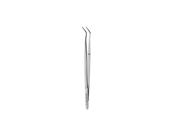 318 : Pinza Merian Denté Img: 202104171