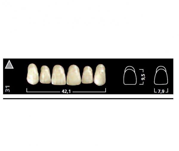 ant AD IVOSTAR sup 05 A1 Img: 201807031