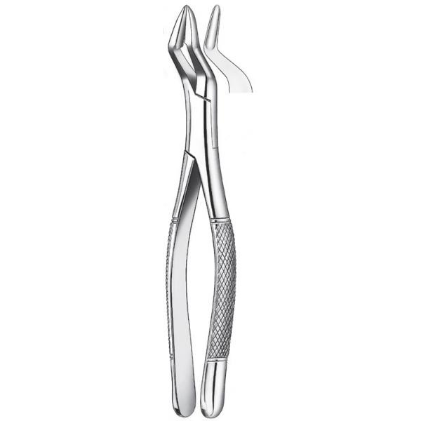 FORCEPS /32A PARMLY 409 Img: 201811031