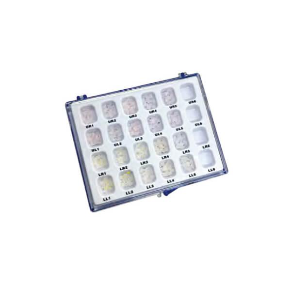 Plateau en plastique 5 à 10 caisses (1 pc) - Plateau Img: 202102271