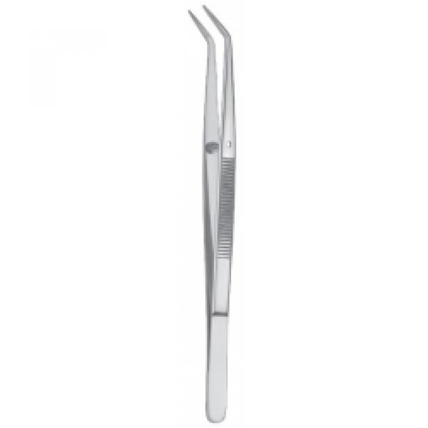 773AS PINZA college Img: 202110301