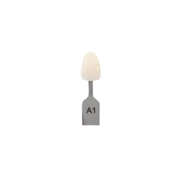 Guide De Couleur Dentaire IPS - Nuancier Porcelaine Naturelle, 9/20 Teintes, Pour Labo Dentaire