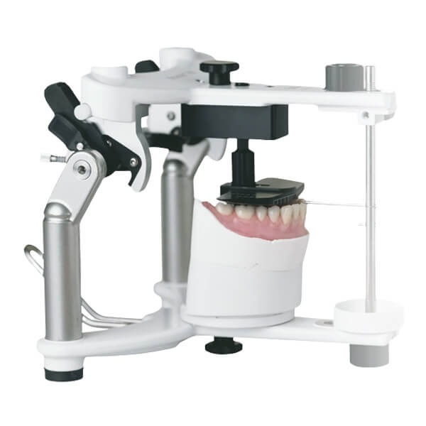 Stratos 100: Articulateur biofonctionnel de valeurs moyennes Img: 202309301