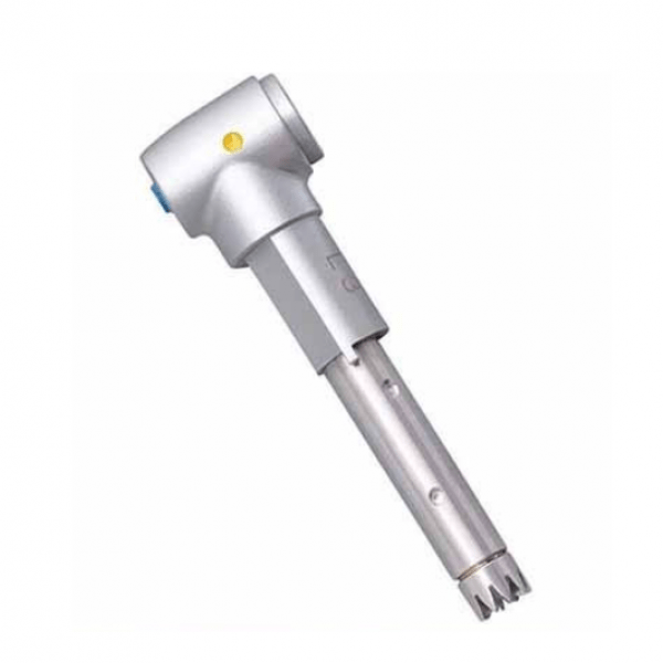 Tête intra L3 - Angle de comptage Img: 202204301