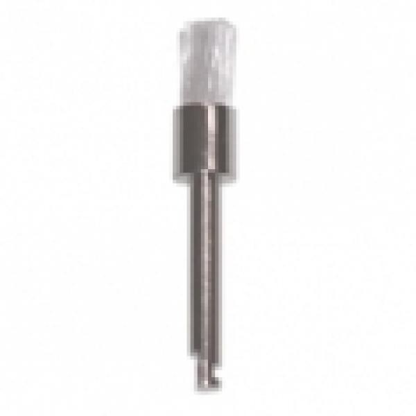 PETITE BROSSE EN NYLON DE POLISSAGE PROPHYILAXIE Img: 201905181
