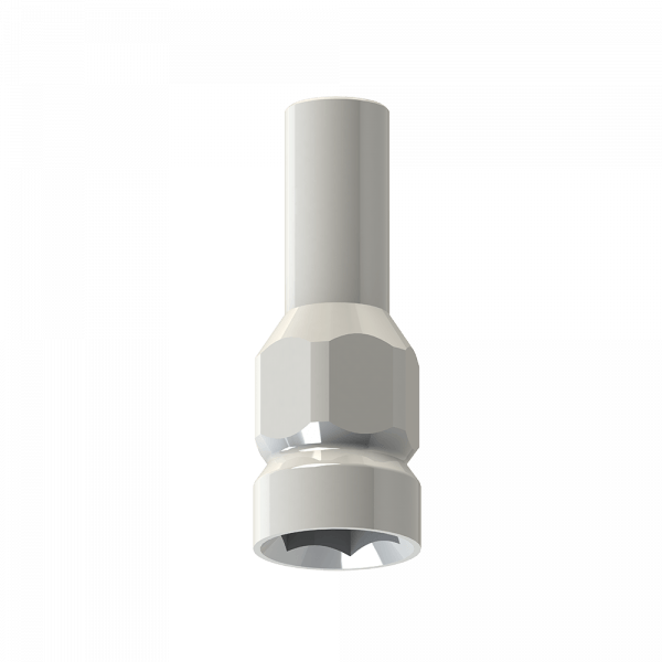 Cylindre de pilier provisoire Implants de pilier simple Implants Connexion externe Plate-forme régulière - Cylindre - Implant Ø 4mm Img: 201907271