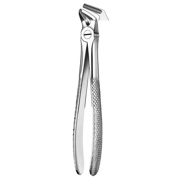 FORCEPS LOW PREMOLAR 8 Img: 201807031