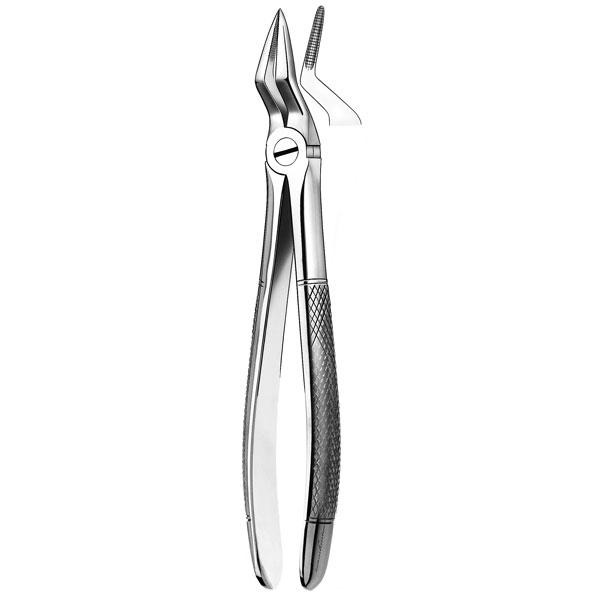 FORCEPS supérieurs RAICES 51st Img: 201807031