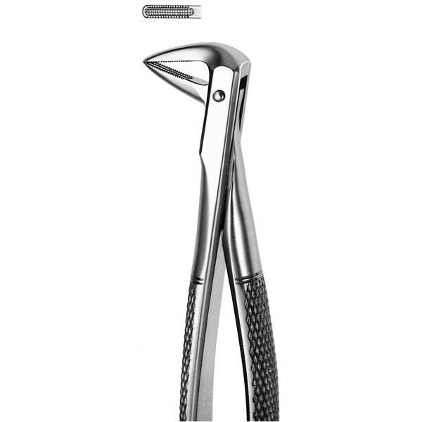 FORCEPS inférieures RAICES M74 Img: 201807031