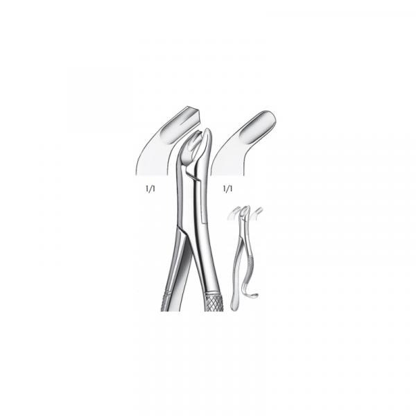Forceps dentaires 409 Img: 202309301