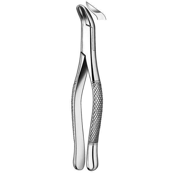 FORCEPS 409/5 PHYSICK CORD.INF  Img: 201807031