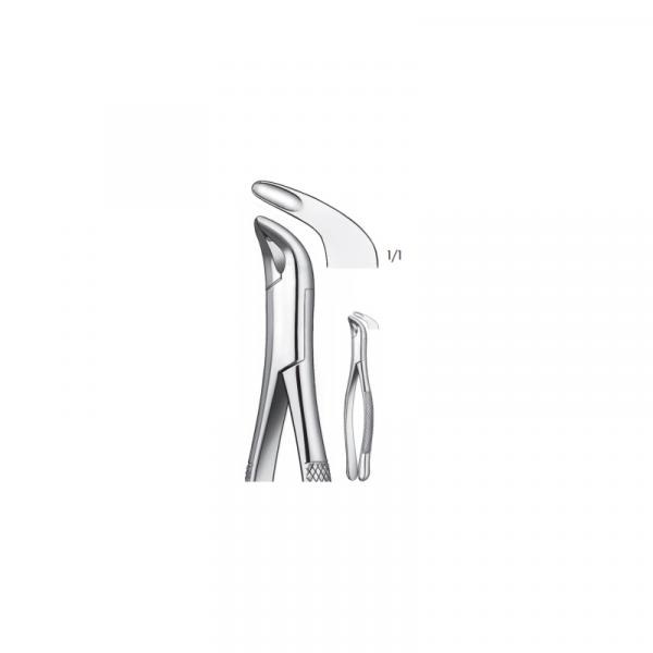 409/203 inférieures FORCEPS Img: 201810271