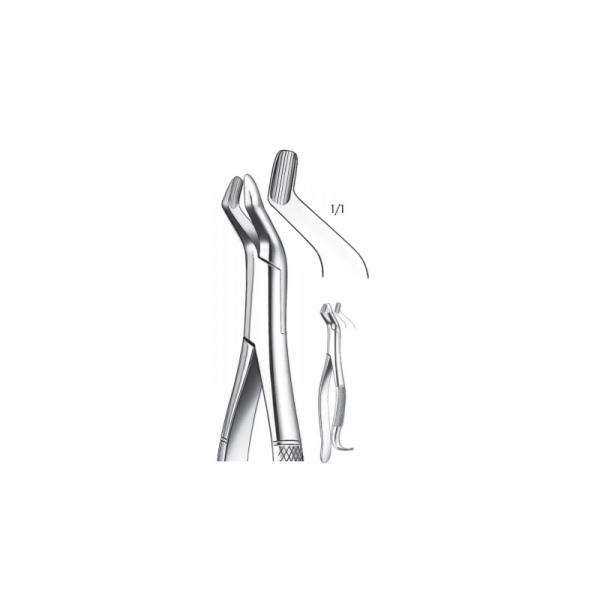 FORCEPS /210H 409 CORDALES SUP.  Img: 201810271