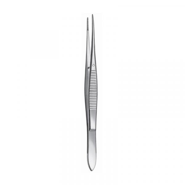 713 /13cm.  PINZA  Img: 201811031