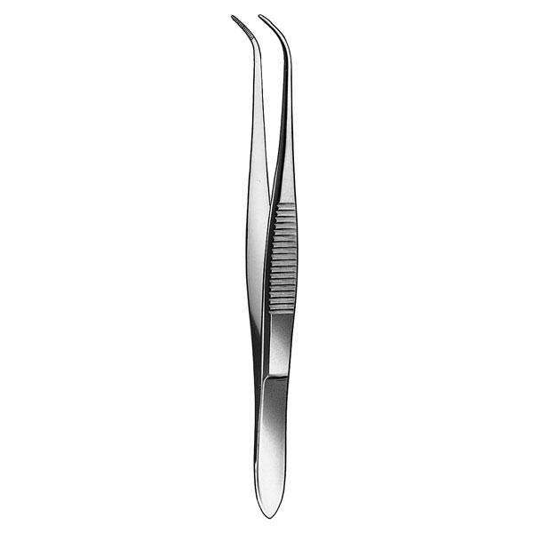 701/10,5 cm. PRÉCELLE FINE POUR DÉBRIS Img: 202504261