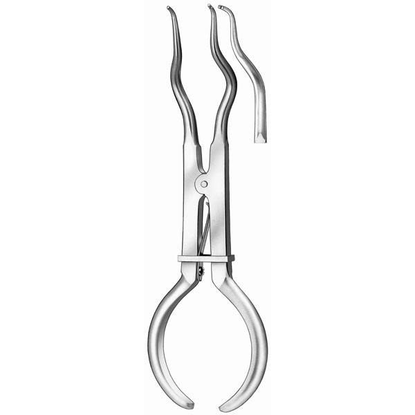 605 est CLAMPS BREWER Img: 201807031