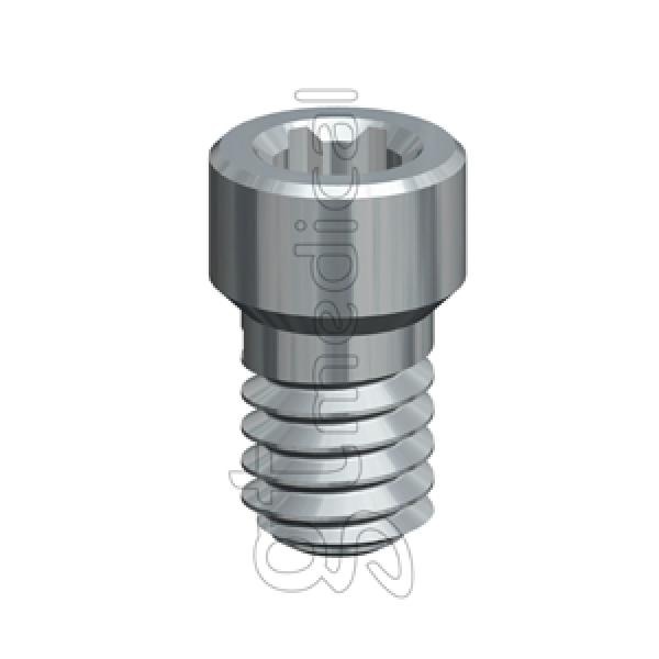 Vis de fixation interne hexagonale (Biohorizons® ø5.7)-Clé UG Img: 202401061