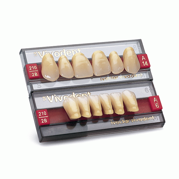 SR Vivodent ant sup 110 A14 Img: 202406011