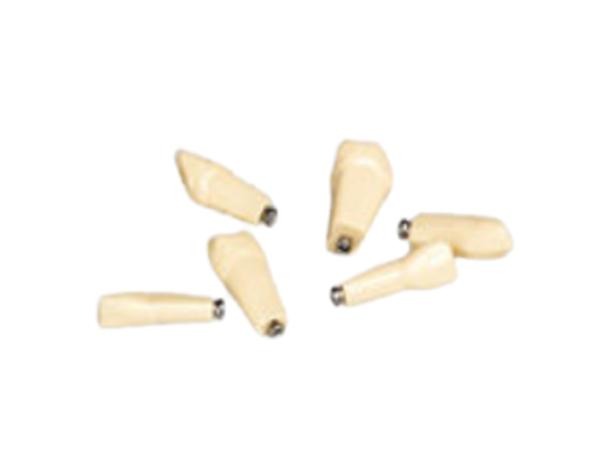 ANKA-4 : Dents de Rechange pour Typodont ANKA-4 (V) - Paquet de 100 dents. Nro 11 Img: 202010311