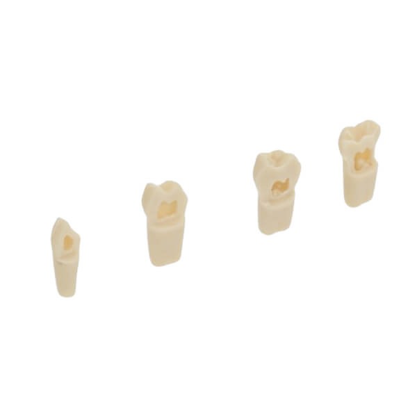 AK62Z : Modèle de dents temporaires pour préparations (10 pcs) - AK62ZPUL - N° : 85 - 10 pcs Img: 202503151