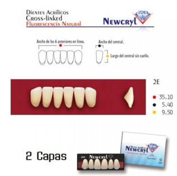 Dents NEWCRYL-VITA A4 2E  Img: 201807031